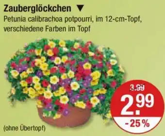 V Markt Zauberglöckchen Angebot