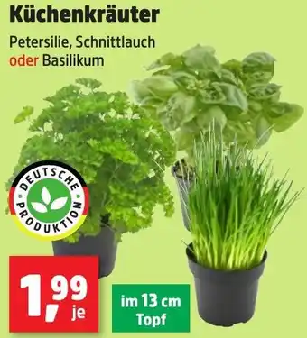 Thomas Philipps Küchenkräuter Angebot