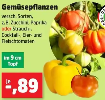 Thomas Philipps Gemüsepflanzen Angebot