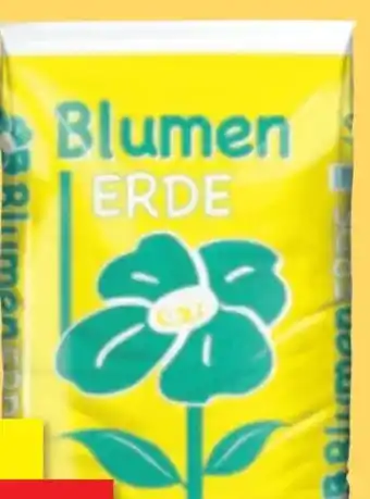 Thomas Philipps Blumenerde Angebot