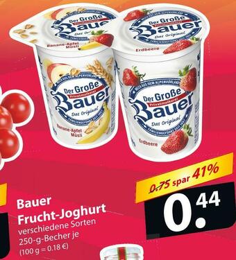 Famila Nord Ost Bauer frucht-joghurt Angebot