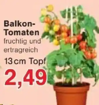 Jawoll Balkon- Tomaten Angebot