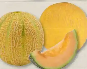Edeka Frischemarkt Cantaloupe Melone Angebot