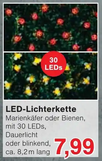 Wiglo Wunderland LED-Lichterkette Angebot