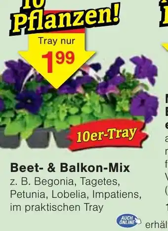 Wiglo Wunderland Beet- & Balkon-Mix Angebot