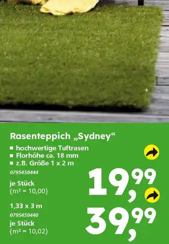 Globus Baumarkt Rasenteppich „Sydney" Angebot