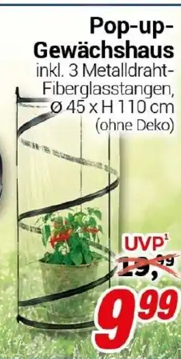 CENTERSHOP Pop-up- Gewächshaus Angebot