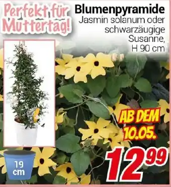 CENTERSHOP Blumenpyramide Angebot