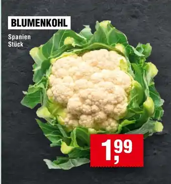 Handelshof BLUMENKOHL Spanien Stück Angebot