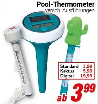 CENTERSHOP Pool-Thermometer Angebot