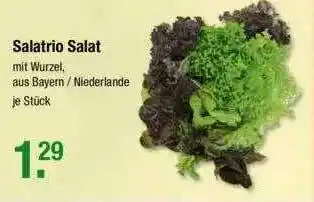 V Markt Salatrio Salat Angebot