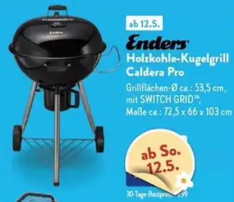 Aldi Nord Enders Holzkohle-Kugelgrill Caldera Pro Angebot