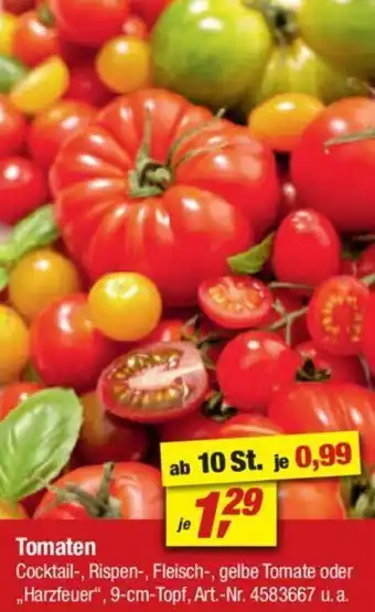 toom Baumarkt Tomaten Angebot