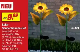 toom Baumarkt Solar Sonnenblumen-Set Angebot