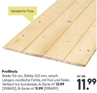 BayWa Profilholz Angebot