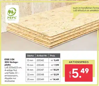 BayWa OSB 3 EN 300 Verlegeplatte Angebot