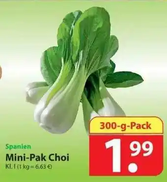 Famila Nord Ost Mini-pak Choi 300g Angebot