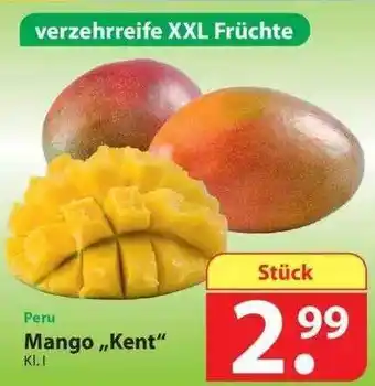 Famila Nord Ost Mango „Kent” Angebot