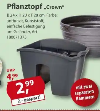 Sonderpreis Baumarkt Pflanztopf,,Crown" Angebot