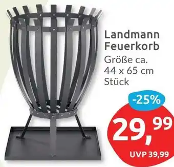 Budni Landmann Feuerkorb Angebot