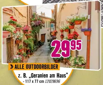 Hornbach Geranien am Haus Angebot