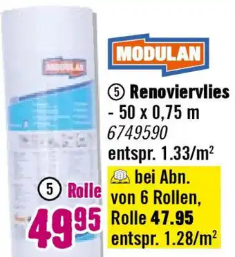 Hornbach MODULAN Renoviervlies Angebot