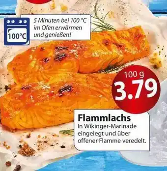 Famila Nord Ost Flammlachs 100g Angebot