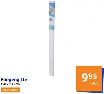 Action Fliegengitter Angebot