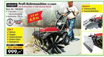 Norma24 Scheppach Profi-kehrmaschine SC2200PE Angebot