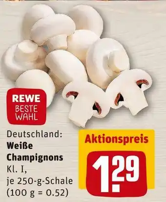 REWE Rewe beste wahl weiße champignons Angebot