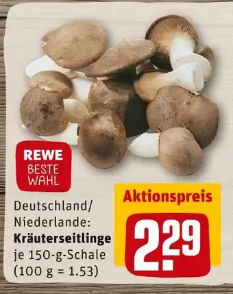 REWE Rewe beste wahl kräuterseitlinge Angebot