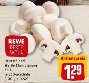 REWE Rewe beste wahl weiße champignons Angebot