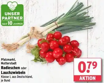 Wasgau Radieschen oder Lauchzwiebeln Angebot