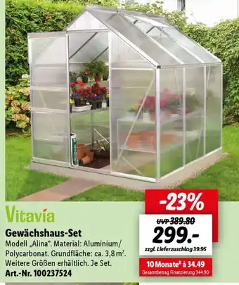 Lidl Vitavía Gewächshaus-Set Modell „Alina". Angebot