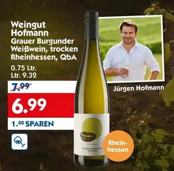 Hol'ab Getränkemarkt Weingut Hofmann Grauer Burgunder Weißwein, trocken Rheinhessen, QbA 0,75L Angebot