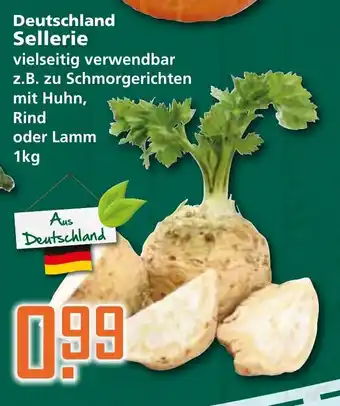 Klaas und Kock Sellerie Deutschland 1kg Angebot