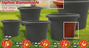 Posten Börse Topfino Blumentöpfe Angebot