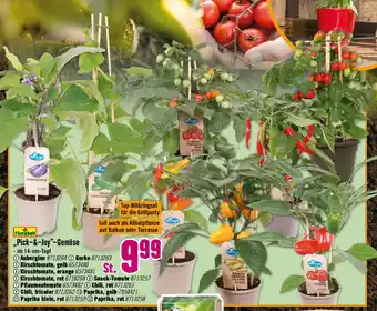 Hornbach FloraSelf „Pick & Joy" Gemüse Angebot