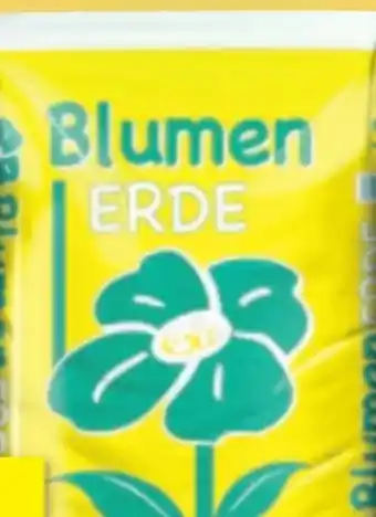 Thomas Philipps Blumenerde Angebot