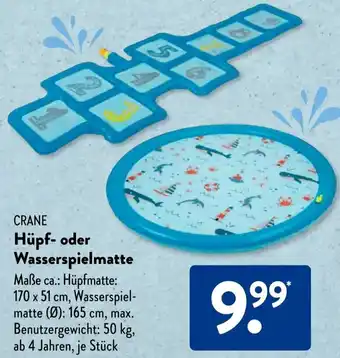 Aldi Süd CRANE Hüpf oder Wasserspielmatte Angebot