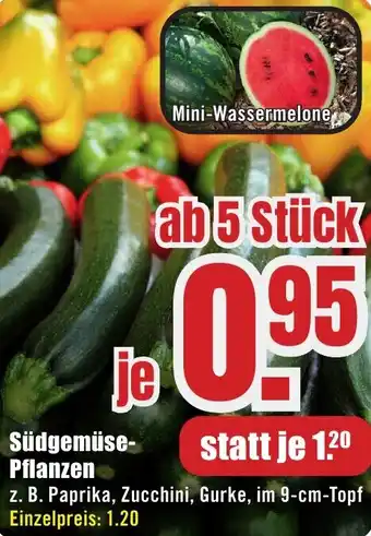 B1 Discount Baumarkt Südgemüse Pflanzen Angebot