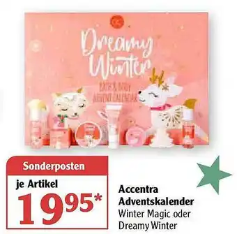 Globus Accentra Adventskalender Angebot