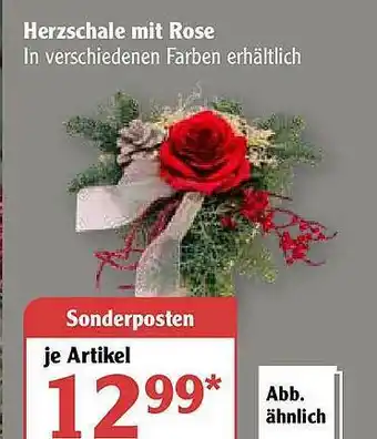 Globus Herzschale Mit Rose Angebot