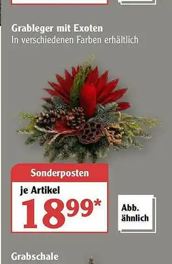 Globus Grableger Mit Exoten Angebot