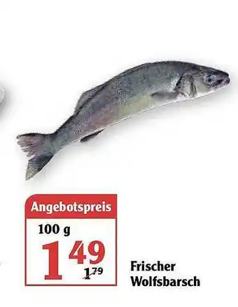 Globus Frischer Wolfsbarsch Angebot