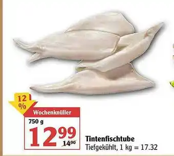 Globus Tintenfischtube Angebot