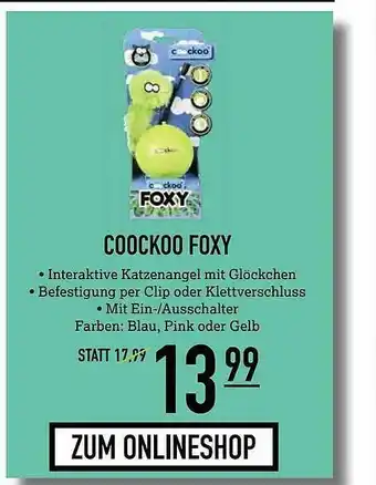 Kölle Zoo Coockoo Foxy Angebot