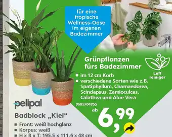 Globus Baumarkt Grünpflanzen fürs Badezimmer Angebot