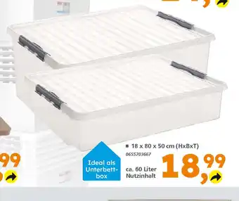 Globus Baumarkt Sunware Aufbewahrungsboxen Angebot