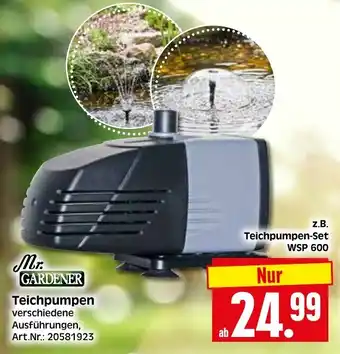 Herkules Baumarkt Mr. GARDENER Teichpumpen-Set WSP 600 Angebot